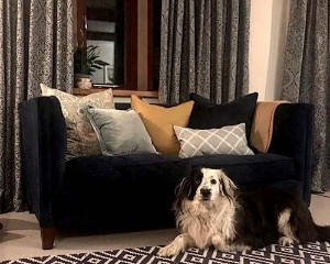 Haresfield Sofa in Cameron Velvet Indigo