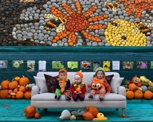 Holmfirth 2.5 Seater Sofa in Swaledale Linen and Three Little Bees!