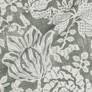 V&A Brompton Collection - Flowering Kale: Pebble