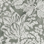 V&A Brompton Collection - Flowering Kale: Pebble