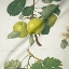 Fabric: RHS Collection - William Hooker Design: Fruit