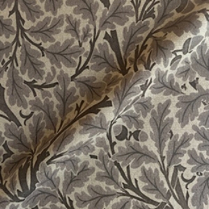 V&A Drawn From Nature - Oak Tree: Brown