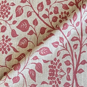 RHS Collection - Gertrude Jekyll Trailing Vine: Red