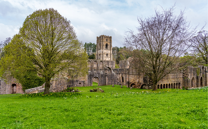 Things to do in Harrogate