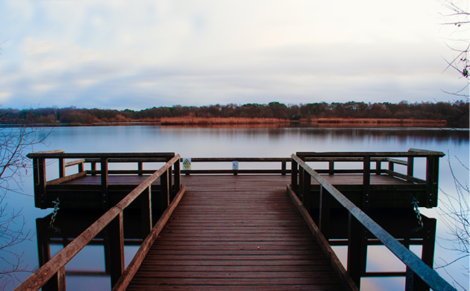 Things to do in Basingstoke