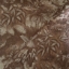 Fabric RHS Botanicals - Ferns Toile: Terracotta