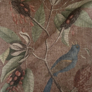 RHS Botanicals - Mark Catesby Grosbeak: Terracotta