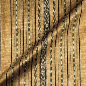 V&A Threads of India Opulent Velvets - Andhra Weave: Gold