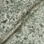 Exclusive Fabric V&A Threads of India Opulent Velvets - Forest Creatures: Hunter