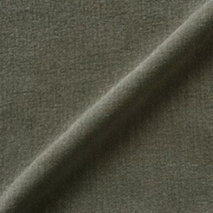 Sussex Plain: Spring