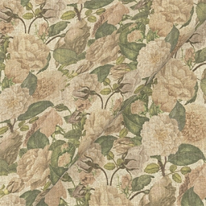 RHS Etta's Bouquet All Over: Alba