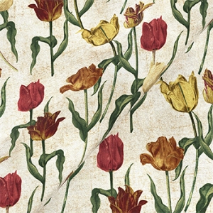 RHS Botanicals on Velvet - Pieter van Kouwenhoorn Tulips: Natural